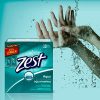 Zest Aqua Soap 5 oz, 10 count